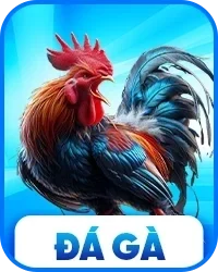 2da-ga-sunwin